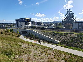 <span class="mw-page-title-main">New Lynn to Avondale shared path</span> Shared path in Auckland, New Zealand