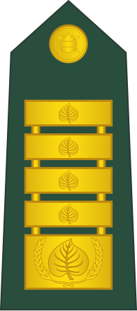 File:21-Slovenian Army-GEN.svg