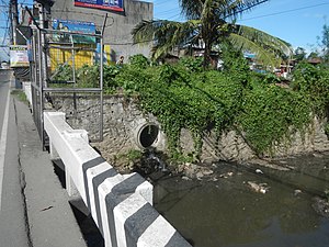 Tunasan River