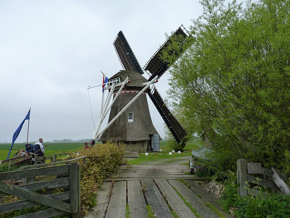 Hogebeintumermolen