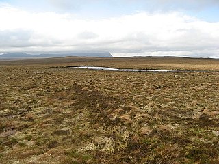 A Mhòine Peninsula in the Highlands, Scotland