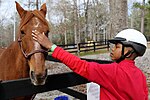 Vorschaubild für Therapeutisches Reiten