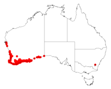 Acacia cochlearisDistMap197.png