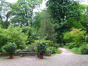 Alda Friedhof Schbaija