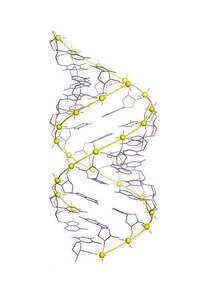 Файл: Adna3.ogv