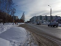 Adoratskogo street in Chujkova side.jpg