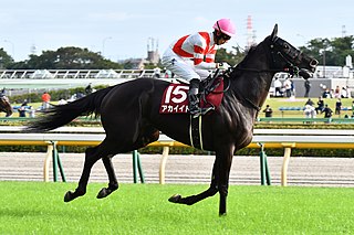 <span class="mw-page-title-main">Akai Ito (horse)</span> Japanese Thoroughbred racehorse