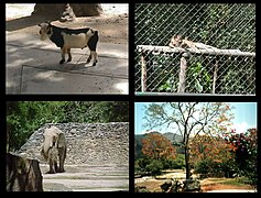 Prostředí a fauna Zoo Caricuao