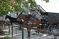 Hitched horses in Winesburg, Ohio