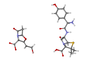 Amoxicillin clavulanic acid ball-and-stick