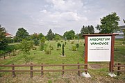 Čeština: Arboretum, Vrahovice, Prostějov