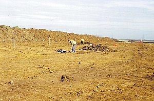 Archeologists At Work - geograph.org.uk - 1036920.jpg