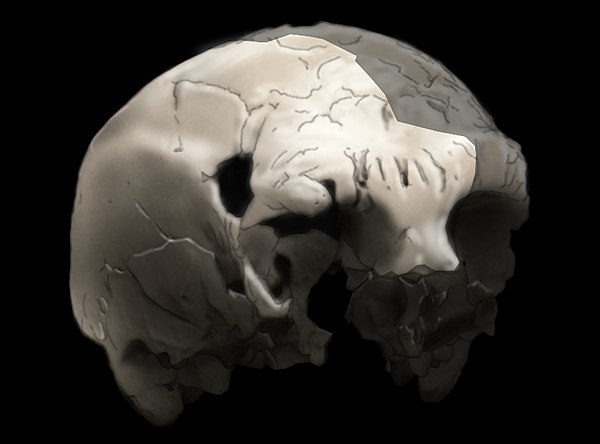 the Aroeira 3 skull of a 400,000 year old Homo Heidelbergensis, The oldest trace of human history in Portugal.