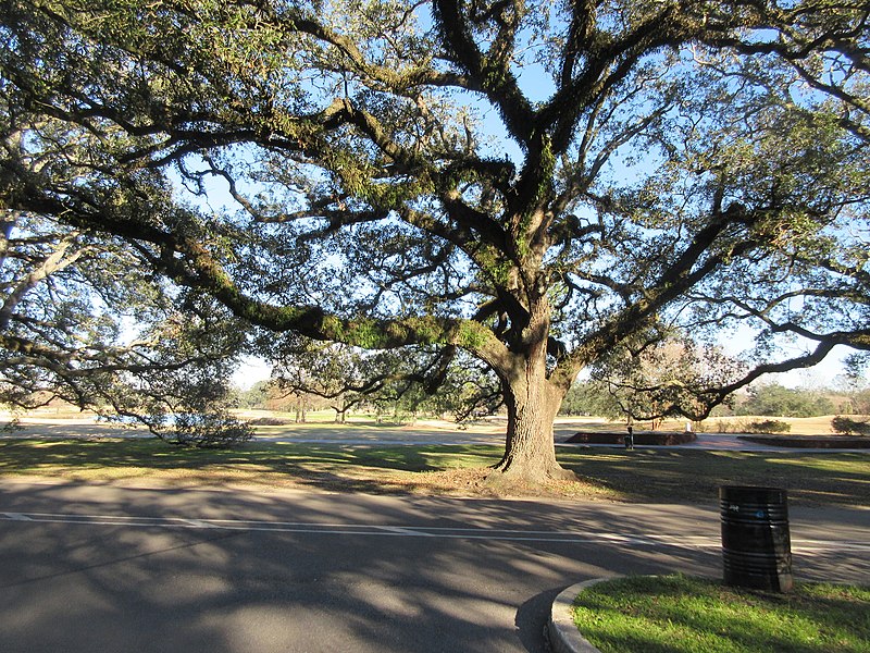 File:Audubon Park, New Orleans, Feb 2022 - 07.jpg