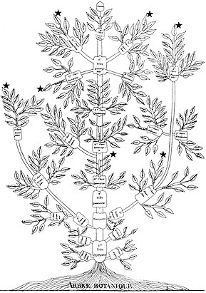 Augustin Augier's 1801 Arbre botanique ("Botanical Tree")[4]