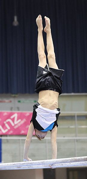 File:Austrian Future Cup 2018-11-23 Training Afternoon Parallel bars (Martin Rulsch) 0307.jpg