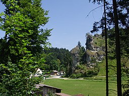 Bachhaupt in Breitenbrunn