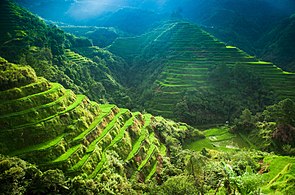 Stairways to Heaven. Taken at Ifugao, Cordillera Administrative Region. Photograph: Billy Palatino (CC BY-SA 4.0)