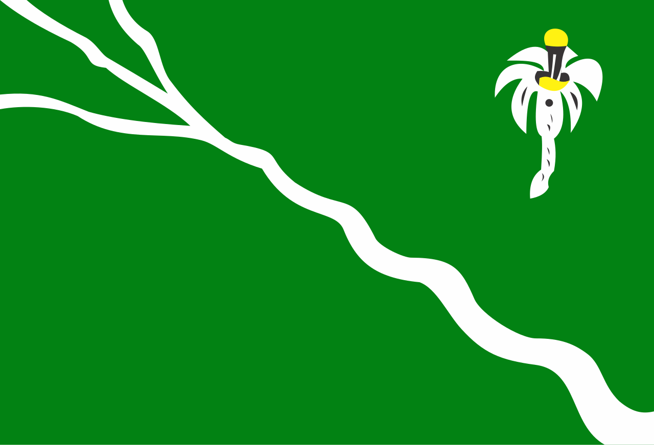 Resultado de imagem para bandeira de belo jardim
