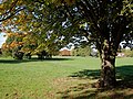 Bantock Park at Bradmore, Wolverhampton - geograph.org.uk - 2128930.jpg