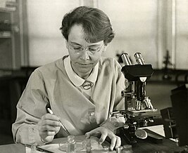 Barbara McClintock (1902-1992) shown in her laboratory in 1947.jpg