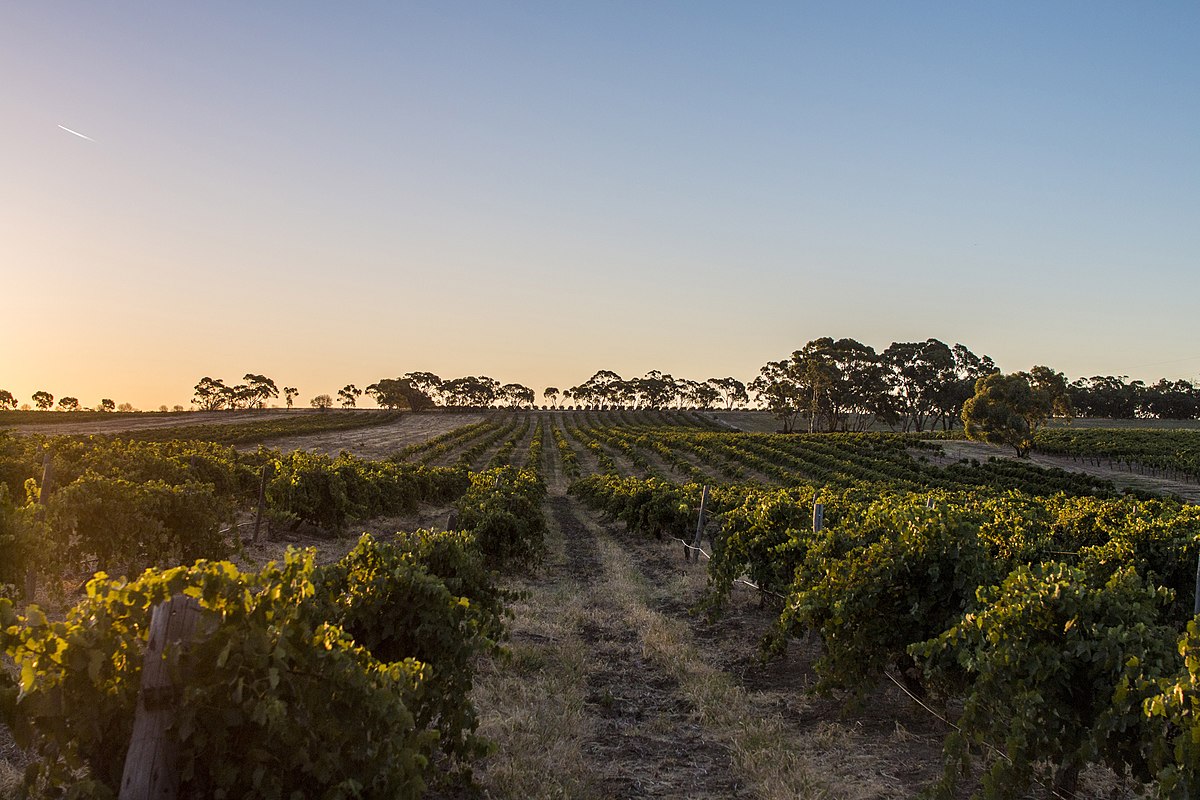 Barossa Valley