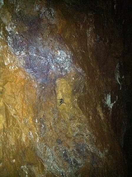 File:Bat in water cave, in Cabezo Gordo, Torre Pacheco.jpg