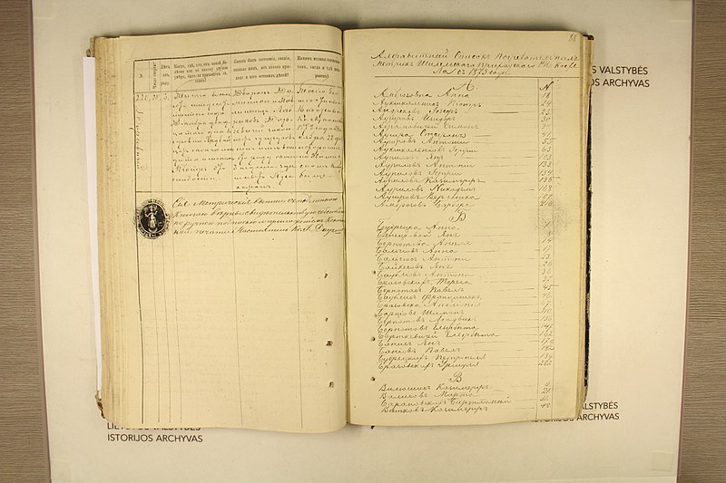File:Batakių dekanato bažnyčių 1873 m. mirties metrikų nuorašai 092.jpg
