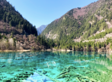 Beauty of Jiuzhaigou National Park - Apr 2017.png