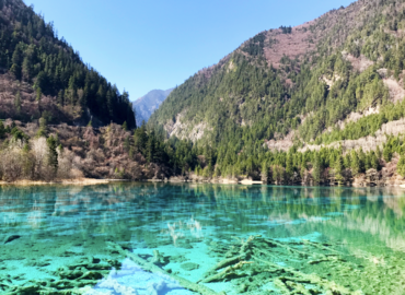 Stunning emerald green lake water in the park
