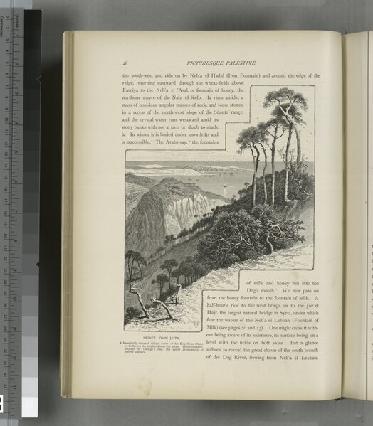 File:Beirût, from Jaita. A beautifully situated village north of the Dog River (Nahr el Kelb), on the heights above the gorge. In the distance, beyond St. George's Bay, the sandy promontory of (NYPL b10607452-80582).tiff