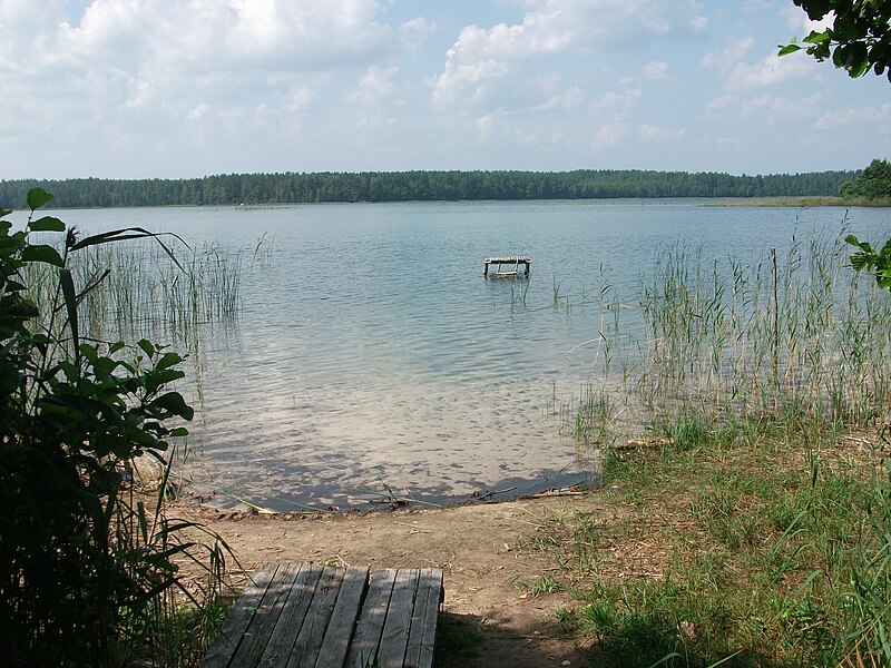 File:Belaye Yukh. Lake 1.jpg