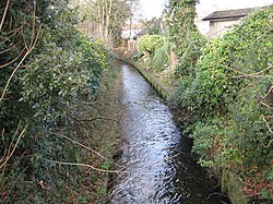 Beverley Brook