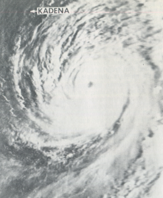 <span class="mw-page-title-main">Typhoon Billie (1976)</span> Pacific typhoon in 1976