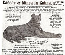 1895 advertisement by dog breeder featuring Tyras II, the Reichshund given to Bismarck by Emperor Wilhelm II Bismarcksdogs1889.jpg