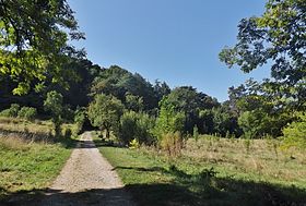 A Parc du Bois Vidal cikk illusztráló képe