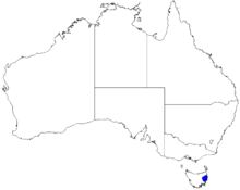 Boronia hippopala DistMap58.png