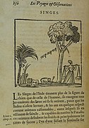 Un récit de voyage, par François de La Boullaye-Le Gouz.
