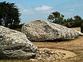 Couchés sur le sol, deux des quatre morceaux du grand menhir d'Er Grah