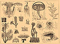 Thumbnail for version as of 14:57, 6 July 2009