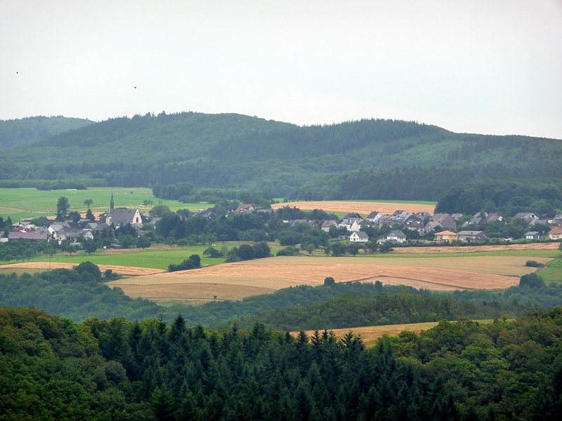 File:Bruschied 2009-07-03 - panoramio.jpg