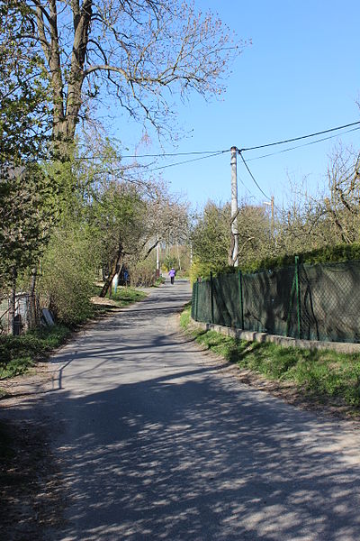 File:Bukovina (Mírová pod Kozákovem), místní silnička.jpg