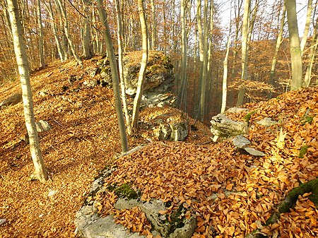 Burg Genkingen img7343 01