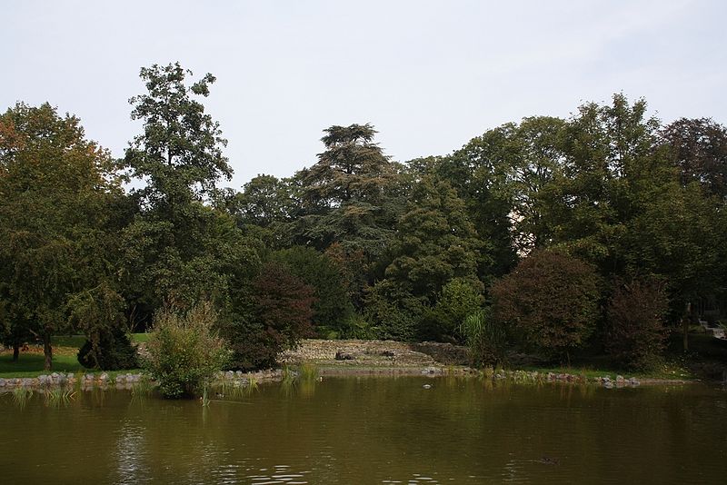 File:Burg Reitersdorf, Ruine mit See.jpg