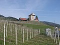 Burg neu altstätten - panoramio.jpg