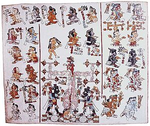 Mesoamerican Writing Systems