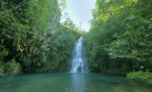 Waterfall on a tributary of South Stann Creek, Cockscomb Basin Wildlife Sanctuary, Belize