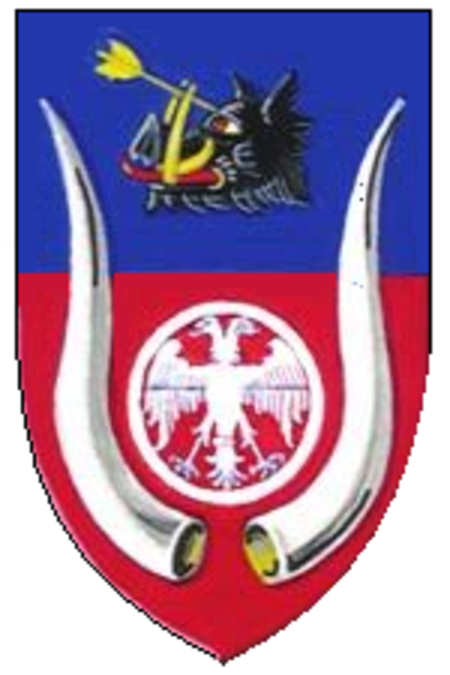 COA Velika Plana (small).png