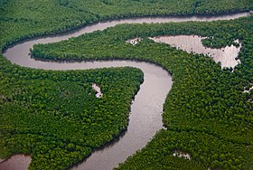 Aerial view of the Caroni Swamp on the northwestern Gulf of Paria coast of Trinidad Caroni Swamp Trinidad.jpg