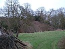 Castle at New Buckenham, Norfolk.  - geograph.org.uk - 150554.jpg